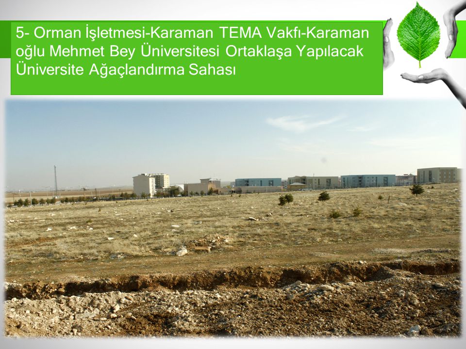 5- Orman İşletmesi-Karaman TEMA Vakfı-Karaman oğlu Mehmet Bey Üniversitesi Ortaklaşa Yapılacak Üniversite Ağaçlandırma Sahası