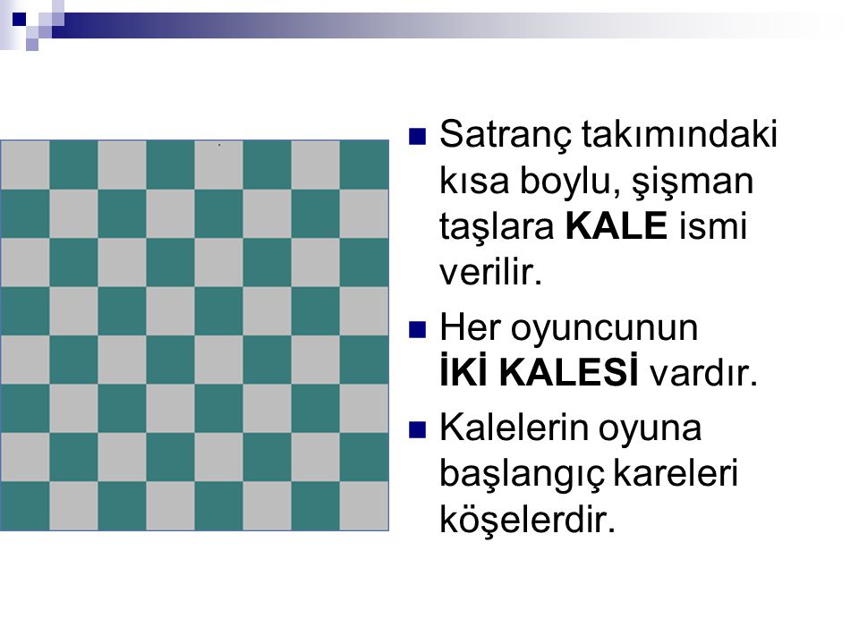 Satranç takımındaki kısa boylu, şişman taşlara KALE ismi verilir.