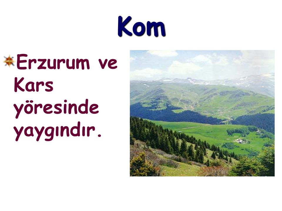 Kom Erzurum ve Kars yöresinde yaygındır.
