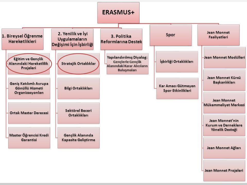 ERASMUS+ Spor 2. Yenilik ve İyi Uygulamaların Değişimi İçin İşbirliği