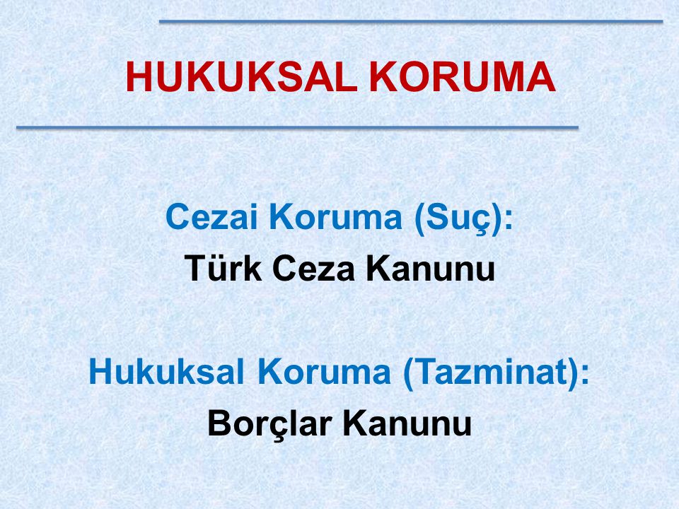 Hukuksal Koruma (Tazminat):