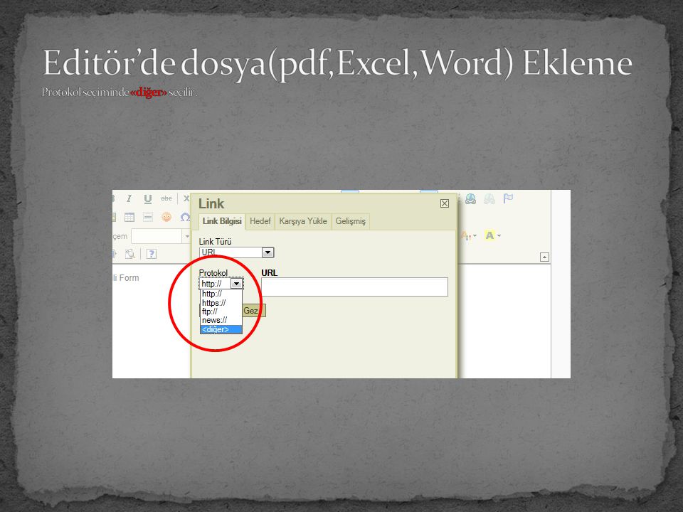 Editör’de dosya(pdf,Excel,Word) Ekleme Protokol seçiminde «diğer» seçilir .