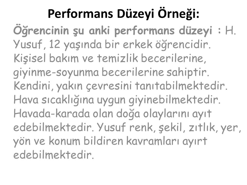 Performans Düzeyi Örneği: