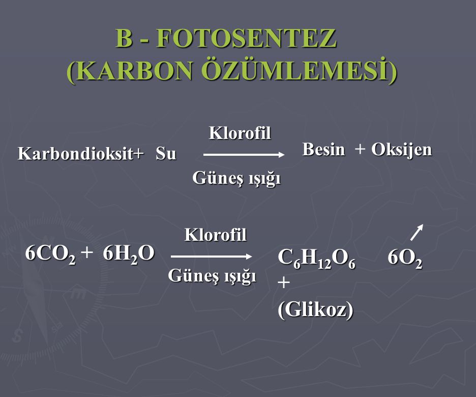(KARBON ÖZÜMLEMESİ) B - FOTOSENTEZ 6H2O C6H12O6 + (Glikoz) 6O2