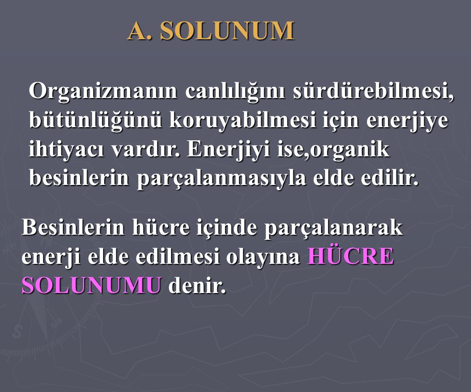 A. SOLUNUM