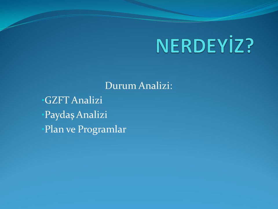 Durum Analizi: GZFT Analizi Paydaş Analizi Plan ve Programlar