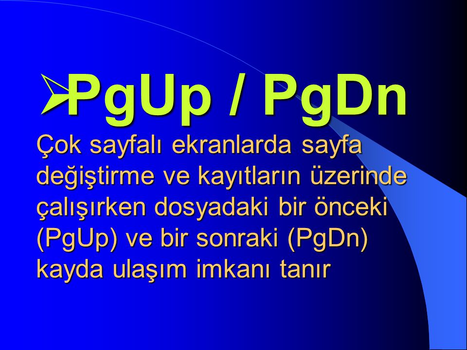 PgUp / PgDn Çok sayfalı ekranlarda sayfa değiştirme ve kayıtların üzerinde çalışırken dosyadaki bir önceki (PgUp) ve bir sonraki (PgDn) kayda ulaşım imkanı tanır