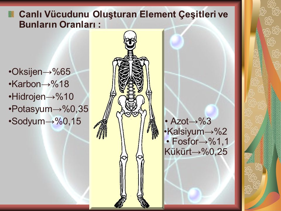 Canlı Vücudunu Oluşturan Element Çeşitleri ve Bunların Oranları :