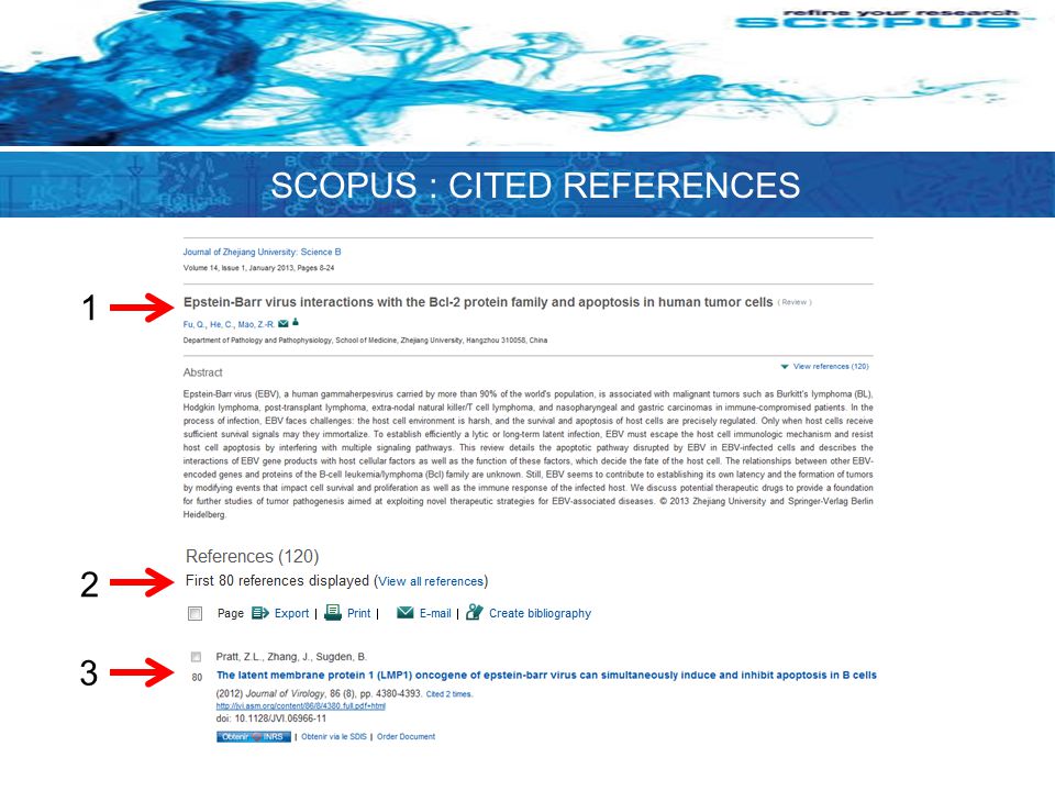 1 3 2 SCOPUS : CITED REFERENCES