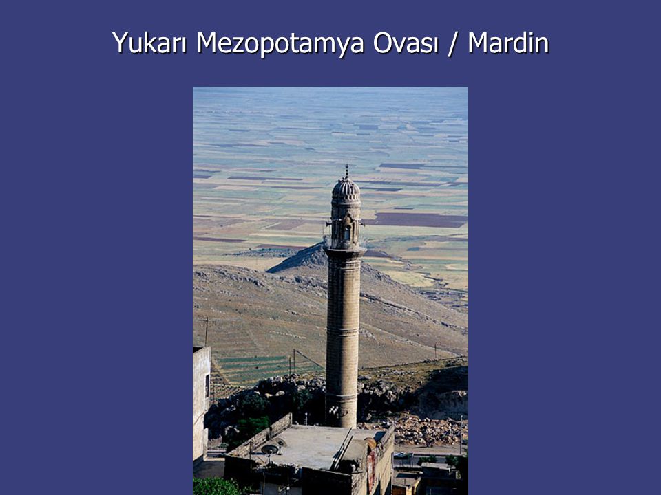 Yukarı Mezopotamya Ovası / Mardin