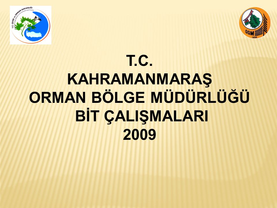 T.C. KAHRAMANMARAŞ ORMAN BÖLGE MÜDÜRLÜĞÜ BİT ÇALIŞMALARI 2009