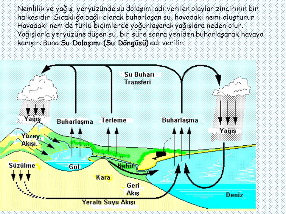 Nemlilik ve yağış, yeryüzünde su dolaşımı adı verilen olaylar zincirinin bir halkasıdır.