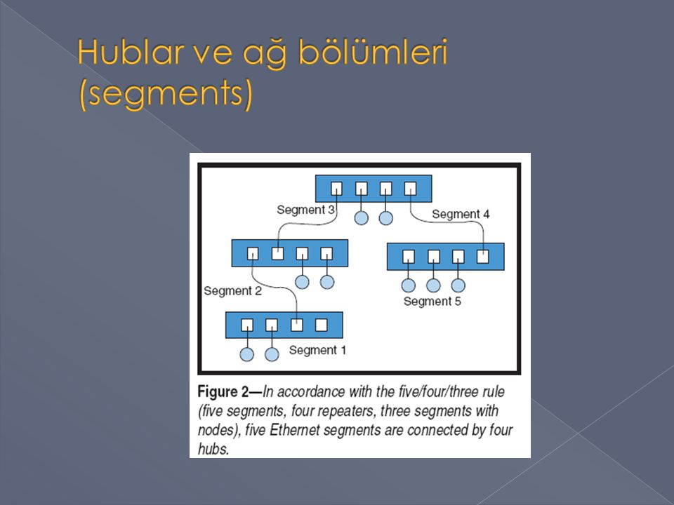 Hublar ve ağ bölümleri (segments)