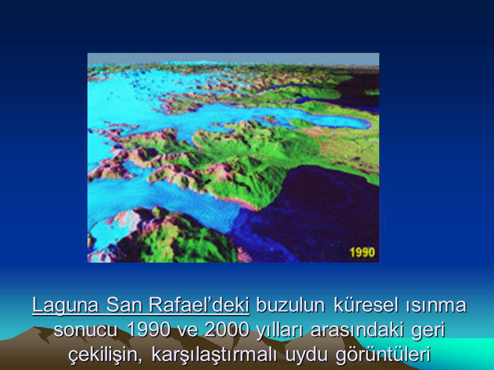 Laguna San Rafael’deki buzulun küresel ısınma sonucu 1990 ve 2000 yılları arasındaki geri çekilişin, karşılaştırmalı uydu görüntüleri