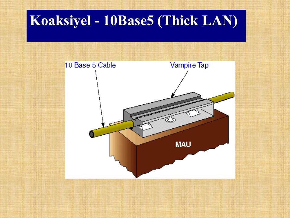 Koaksiyel - 10Base5 (Thick LAN)