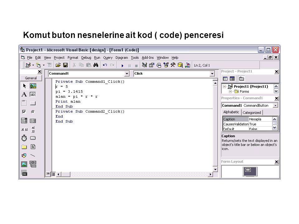 Komut buton nesnelerine ait kod ( code) penceresi