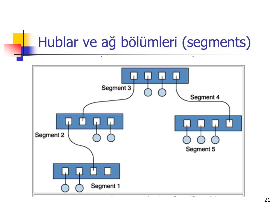 Hublar ve ağ bölümleri (segments)