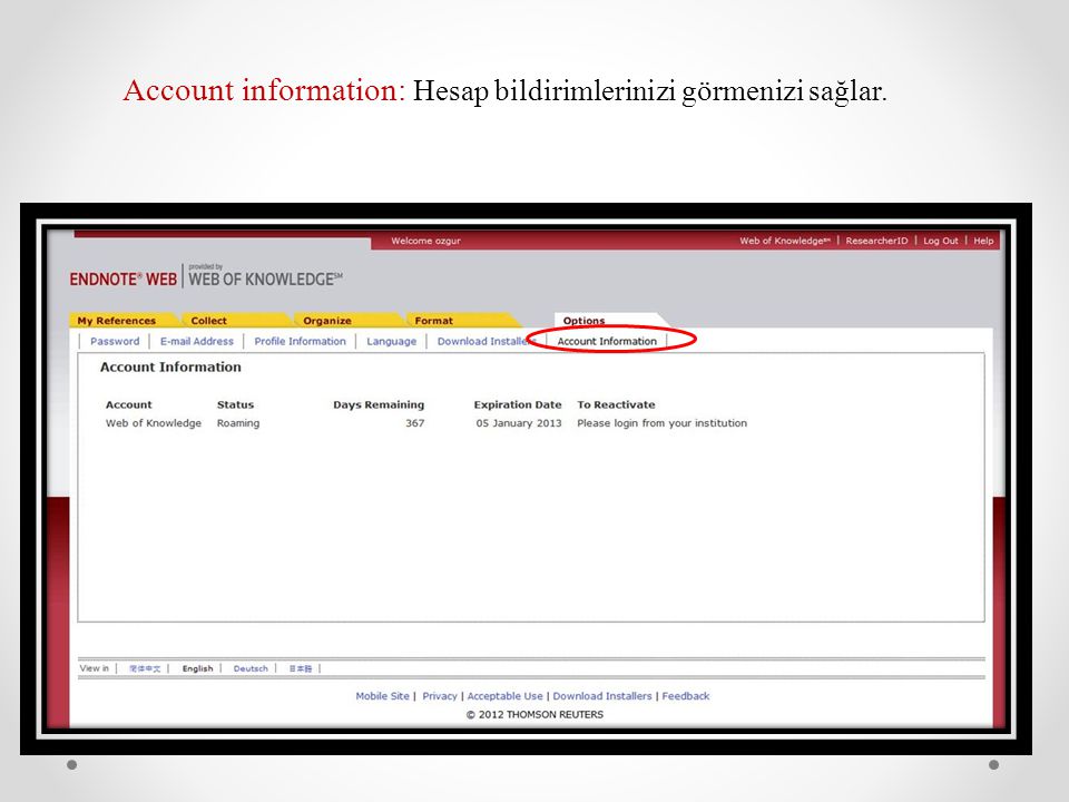 Account information: Hesap bildirimlerinizi görmenizi sağlar.