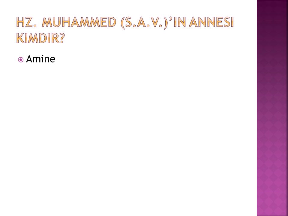 Hz. Muhammed (s.a.v.)’in annesi kimdir