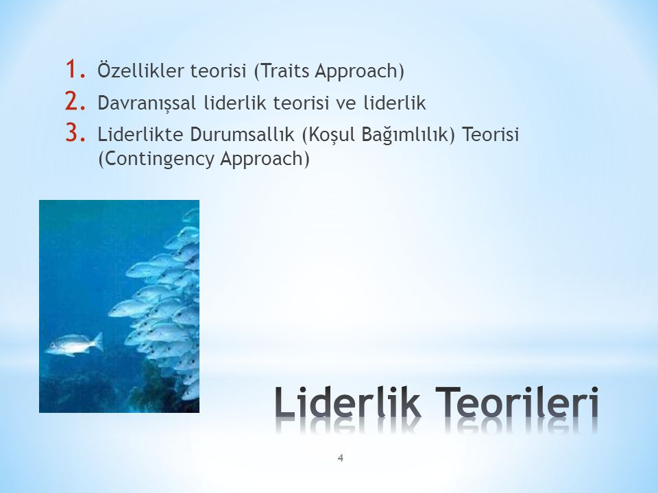 Liderlik Teorileri Özellikler teorisi (Traits Approach)