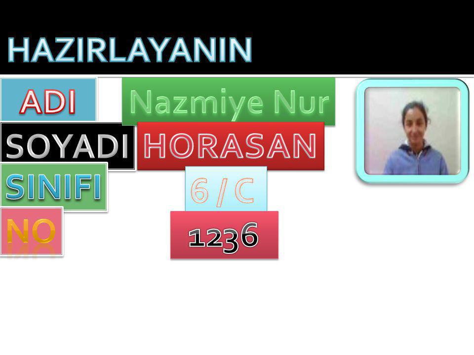 HAZIRLAYANIN ADI Nazmiye Nur SOYADI HORASAN SINIFI 6 / C NO 1236