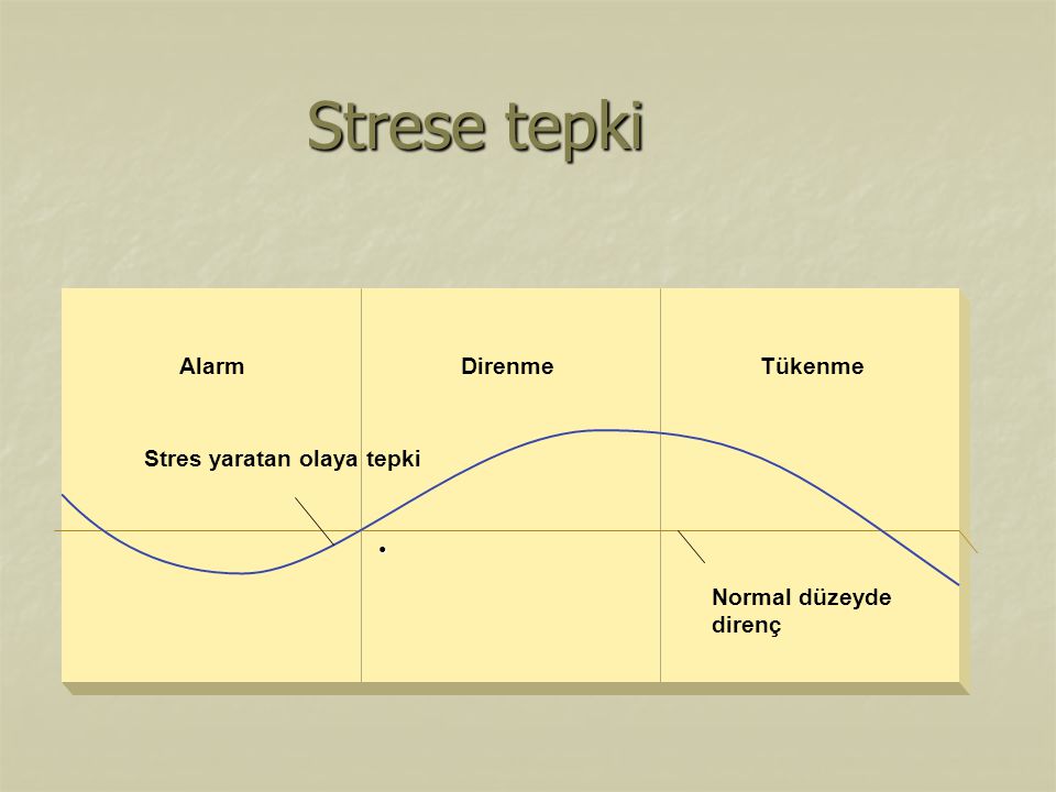 Strese tepki Normal düzeyde direnç Stres yaratan olaya tepki Alarm
