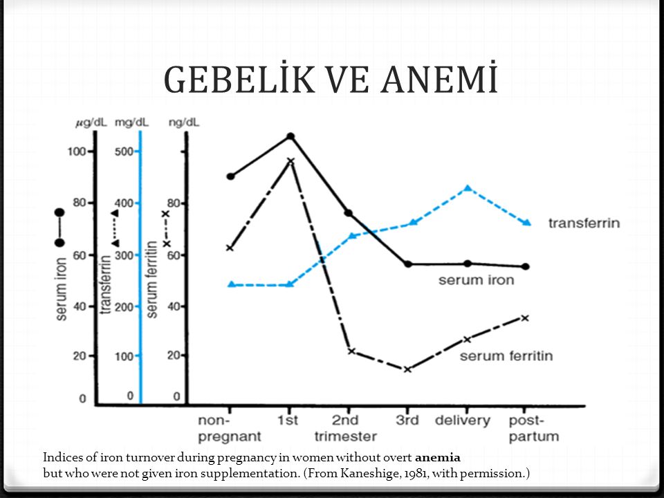 GEBELİK VE ANEMİ Indices of iron turnover during pregnancy in women without overt anemia.