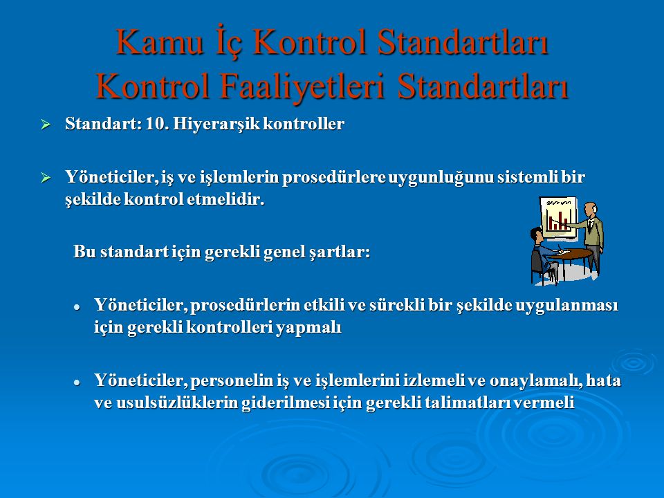 Kamu İç Kontrol Standartları Kontrol Faaliyetleri Standartları