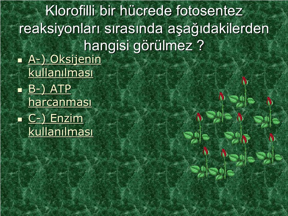 Klorofilli bir hücrede fotosentez reaksiyonları sırasında aşağıdakilerden hangisi görülmez
