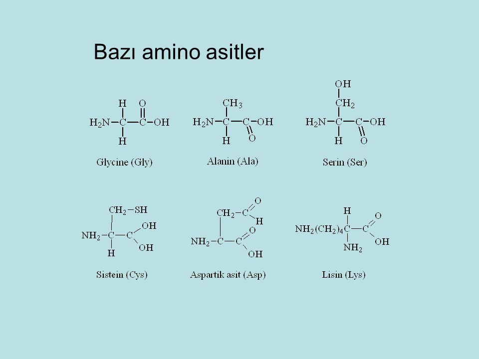 Bazı amino asitler