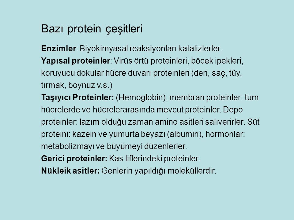 Bazı protein çeşitleri