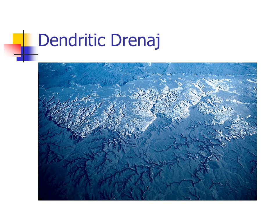 Dendritic Drenaj