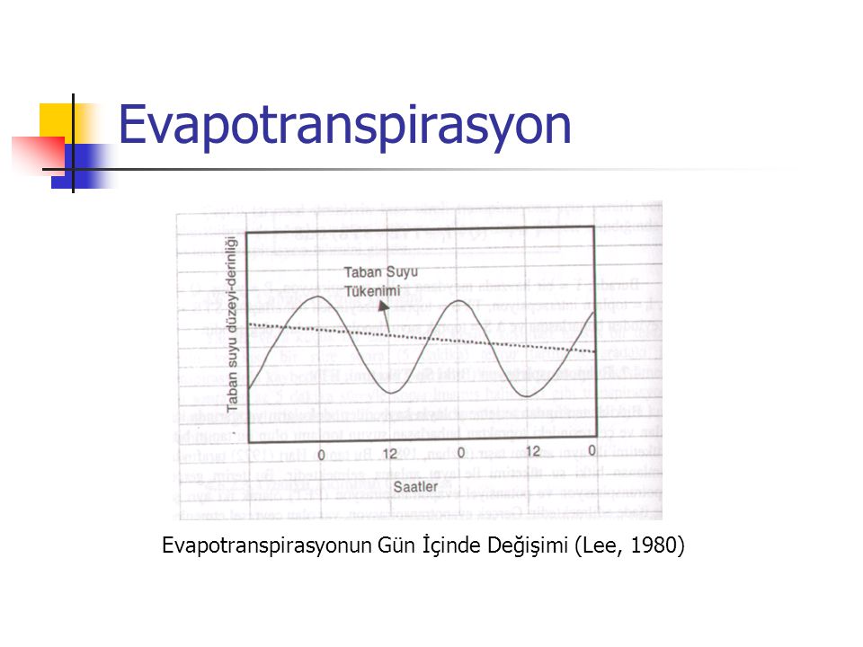 Evapotranspirasyon Evapotranspirasyonun Gün İçinde Değişimi (Lee, 1980)