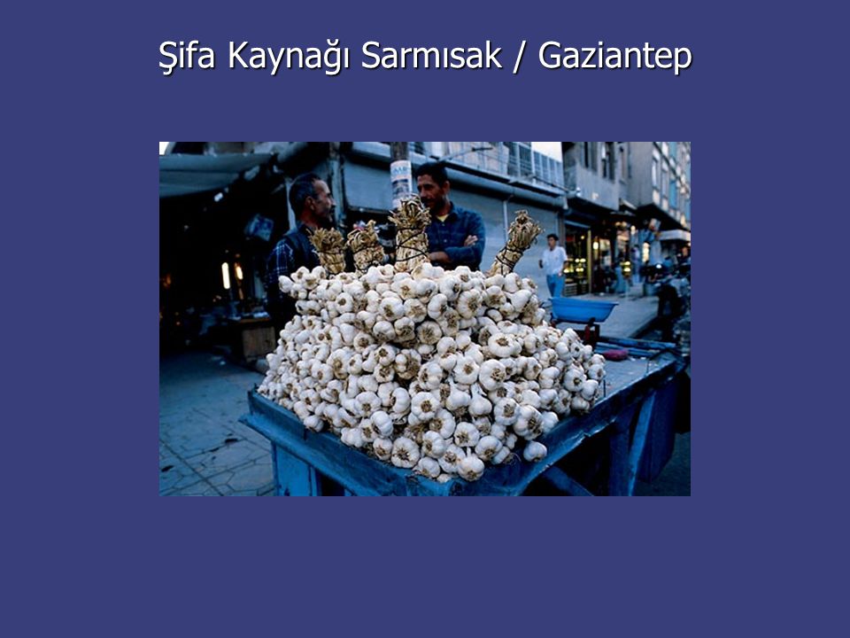 Şifa Kaynağı Sarmısak / Gaziantep
