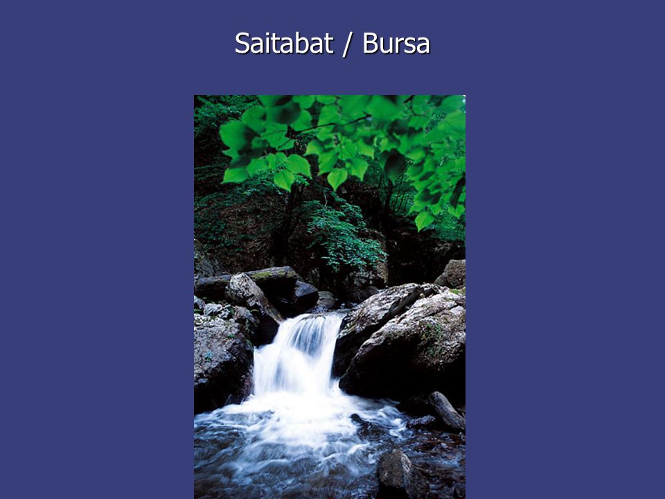 Saitabat / Bursa