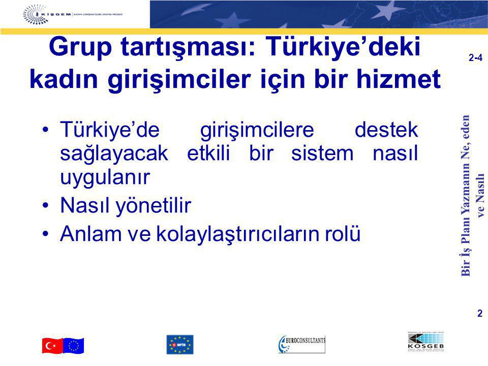 Grup tartışması: Türkiye’deki kadın girişimciler için bir hizmet