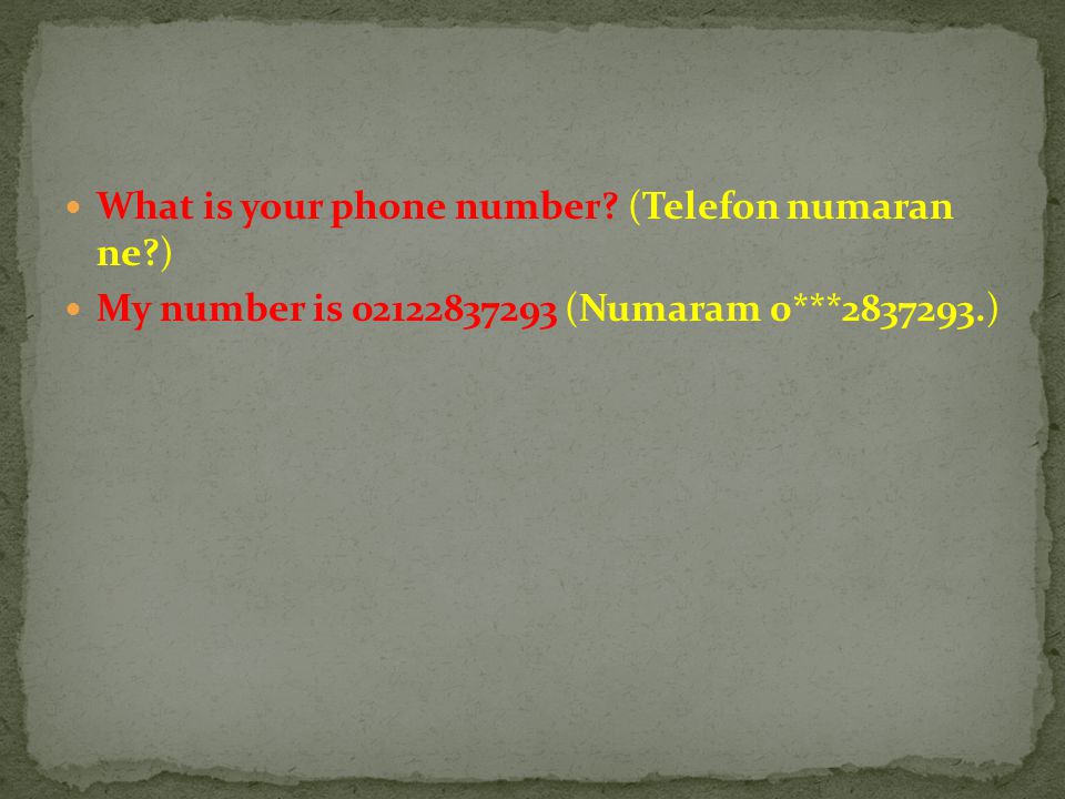 What is your phone number (Telefon numaran ne )