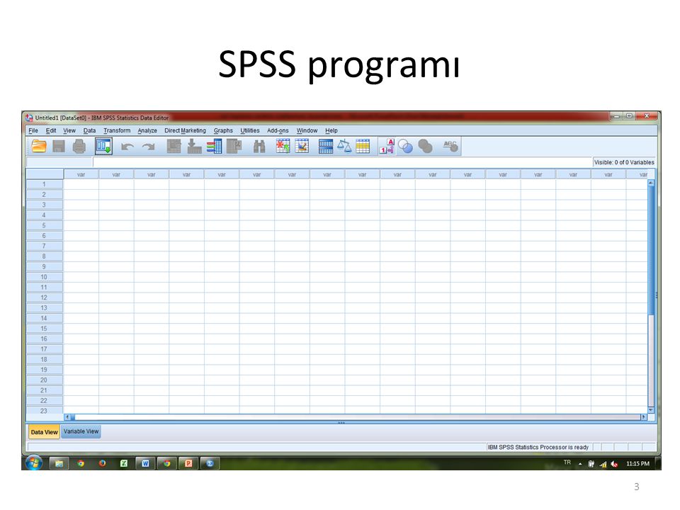 SPSS programı