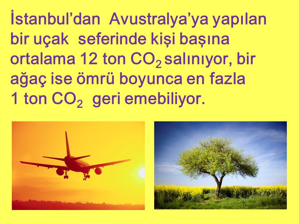 İstanbul’dan Avustralya’ya yapılan bir uçak seferinde kişi başına ortalama 12 ton CO2 salınıyor, bir ağaç ise ömrü boyunca en fazla