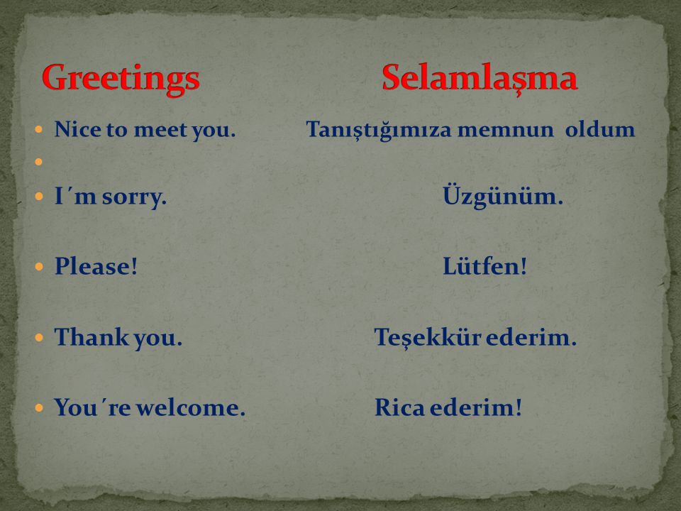 Greetings Selamlaşma I´m sorry. Üzgünüm. Please! Lütfen!