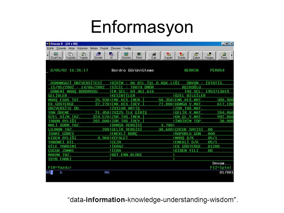 Enformasyon data-information-knowledge-understanding-wisdom .