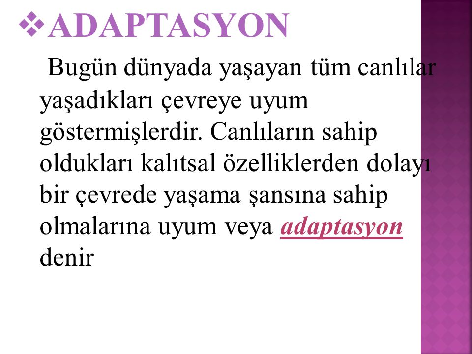 ADAPTASYON