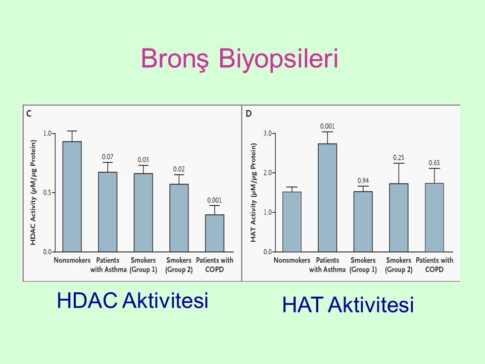 Bronş Biyopsileri HDAC Aktivitesi HAT Aktivitesi