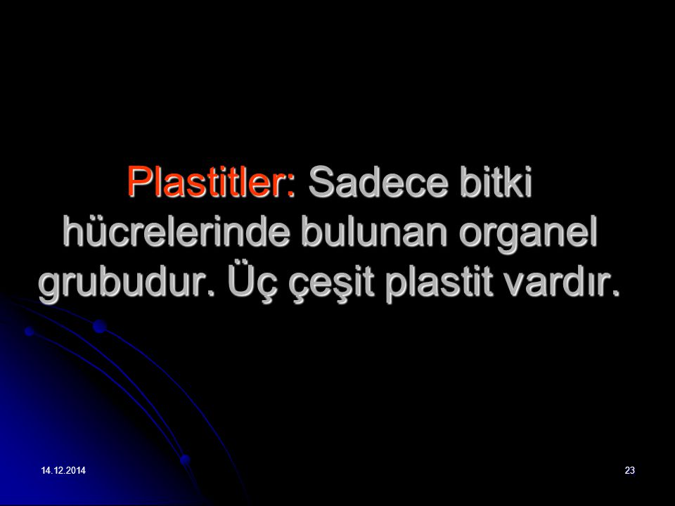 Plastitler: Sadece bitki hücrelerinde bulunan organel grubudur