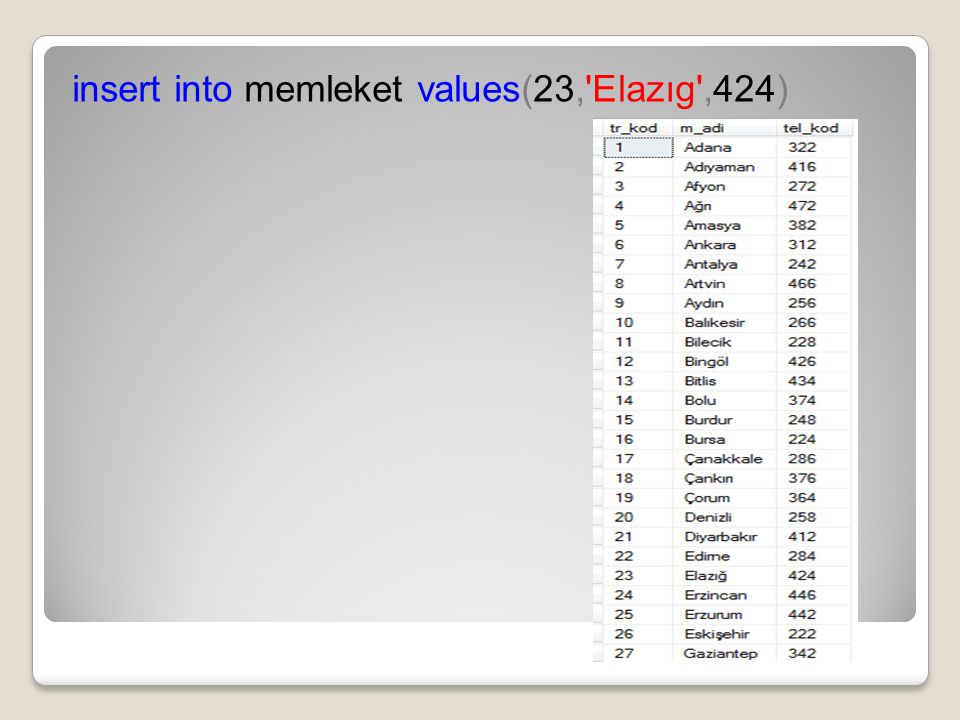 insert into memleket values(23, Elazıg ,424)