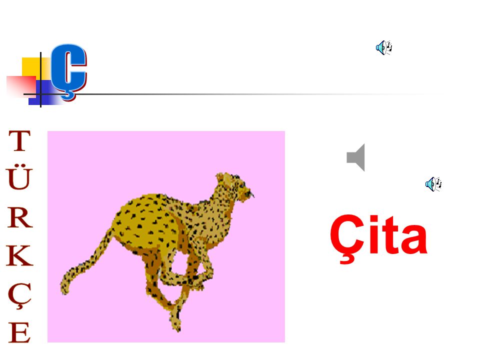 Ç Çita TÜRKÇE