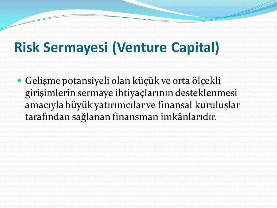 Risk Sermayesi (Venture Capital)