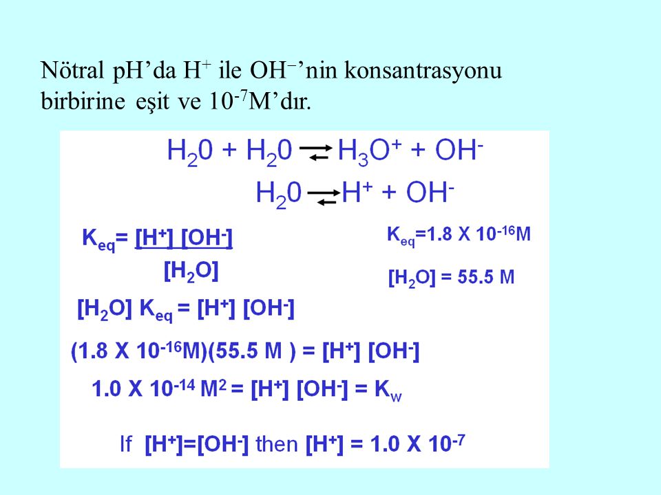 Nötral pH’da H+ ile OH’nin konsantrasyonu birbirine eşit ve 10-7M’dır.