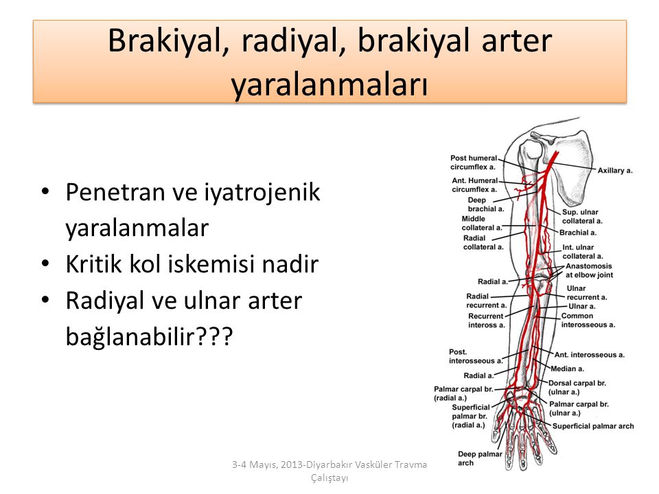 Brakiyal, radiyal, brakiyal arter yaralanmaları