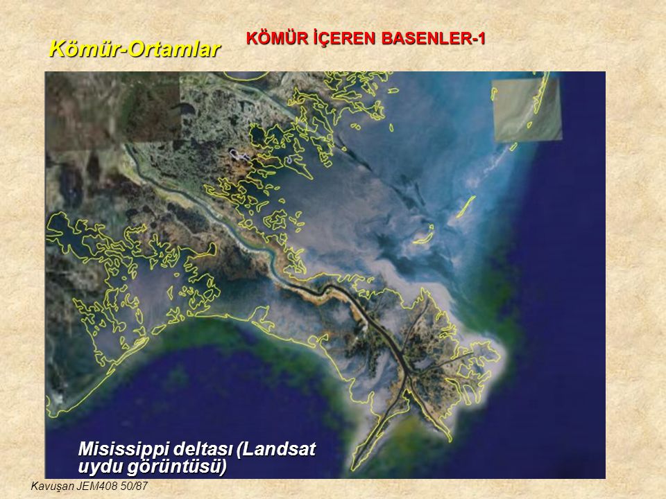 Kömür-Ortamlar Misissippi deltası (Landsat uydu görüntüsü)